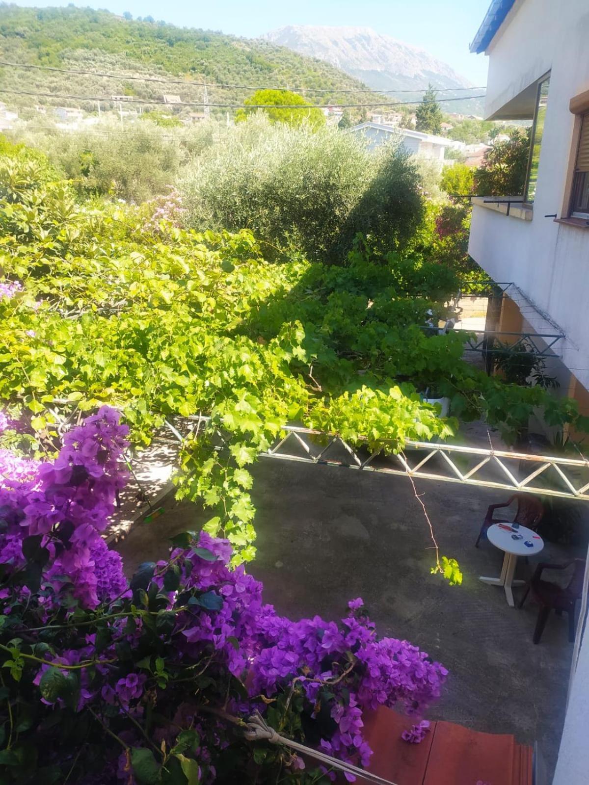 巴尔Boho Apart公寓 外观 照片