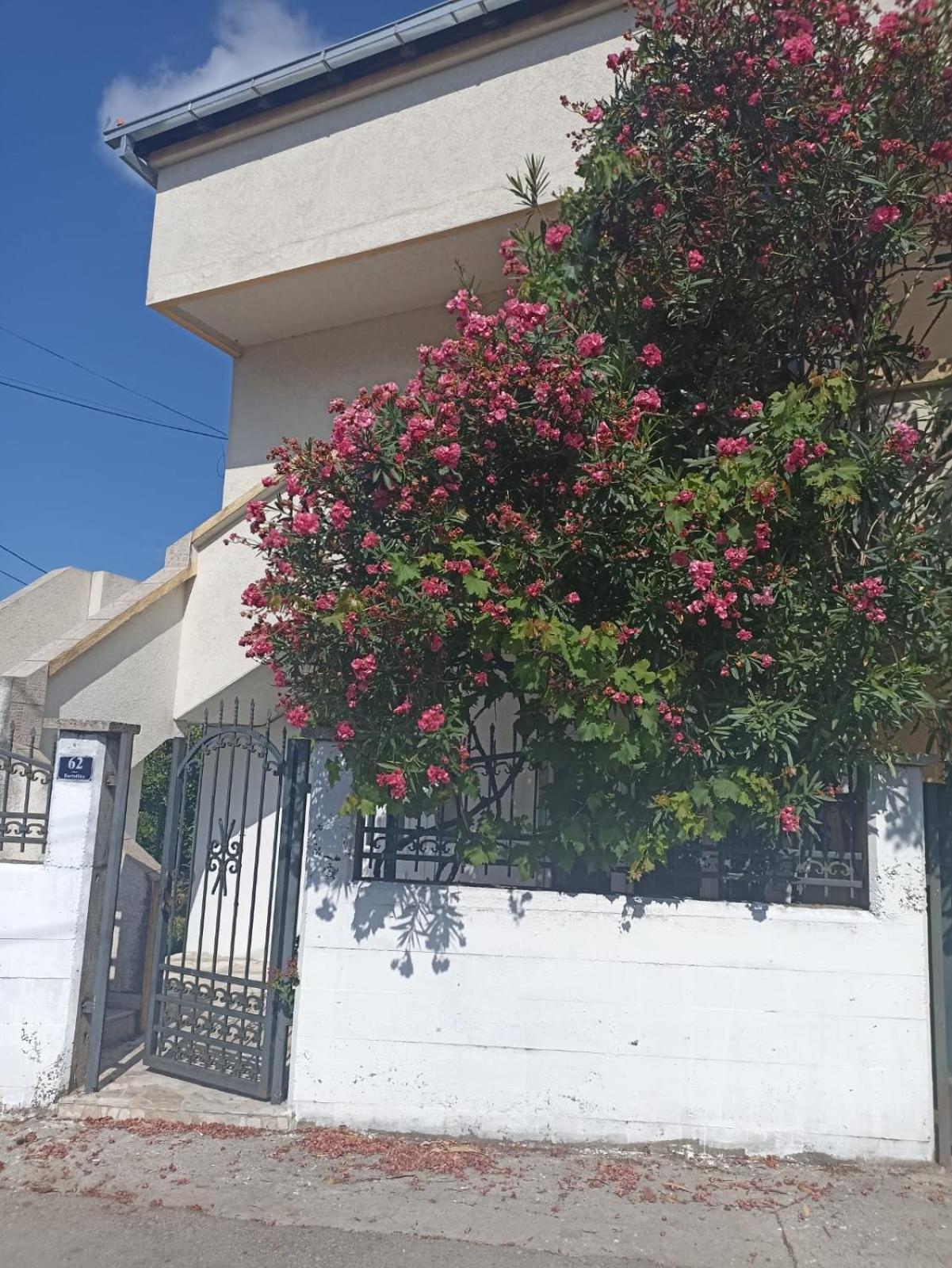 巴尔Boho Apart公寓 外观 照片